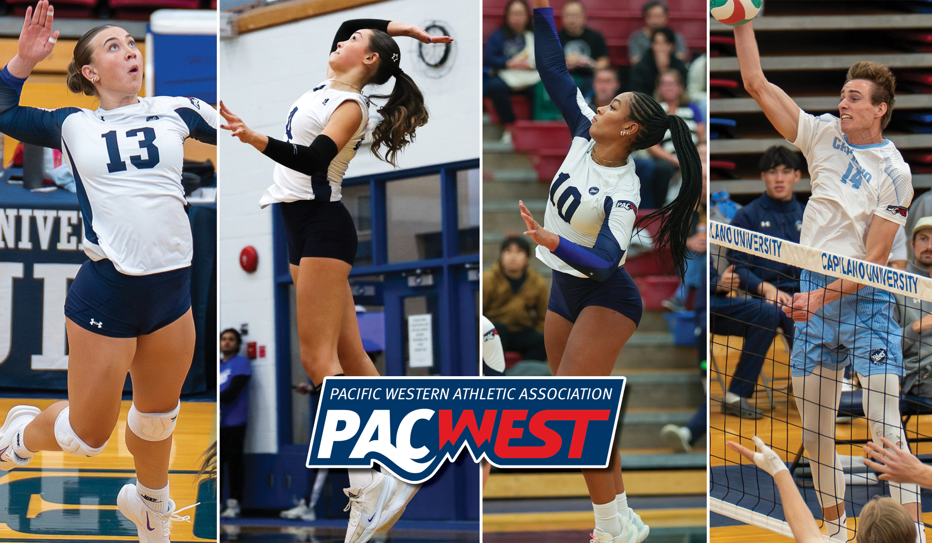 (From left) Abby Betker, Natalie Rourke, Nnya Mbaoma and Luke Tiegen were honoured by the PACWEST Feb. 25.