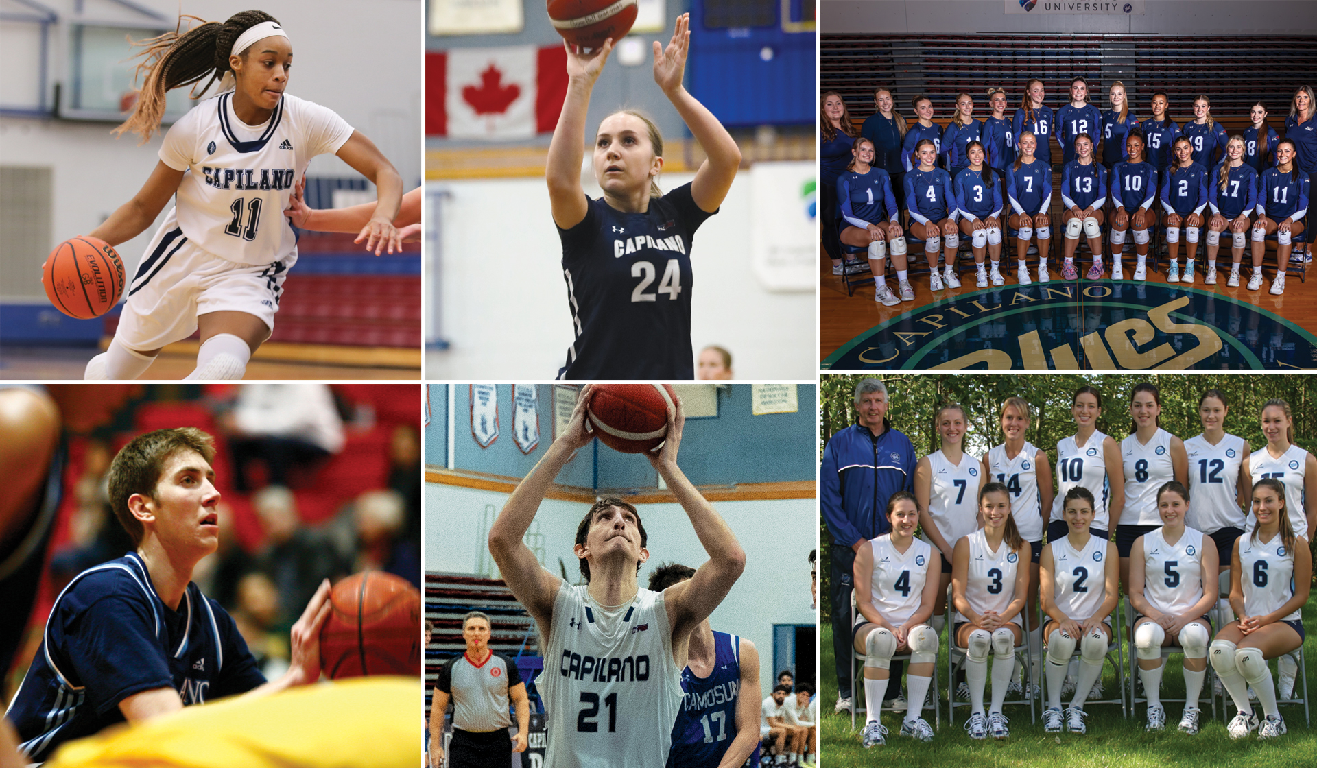 Blues forward Maddy Coffin (top centre) is closing in on Carmelle M'Bikata (top left) for career points while Zach Klim (bottom centre) has a good shot to overtake Luke Wera (bottom left) for career rebounds. This year's Blues women's volleyball team can eclipse the 2004-05 team for consecutive wins to start a season.