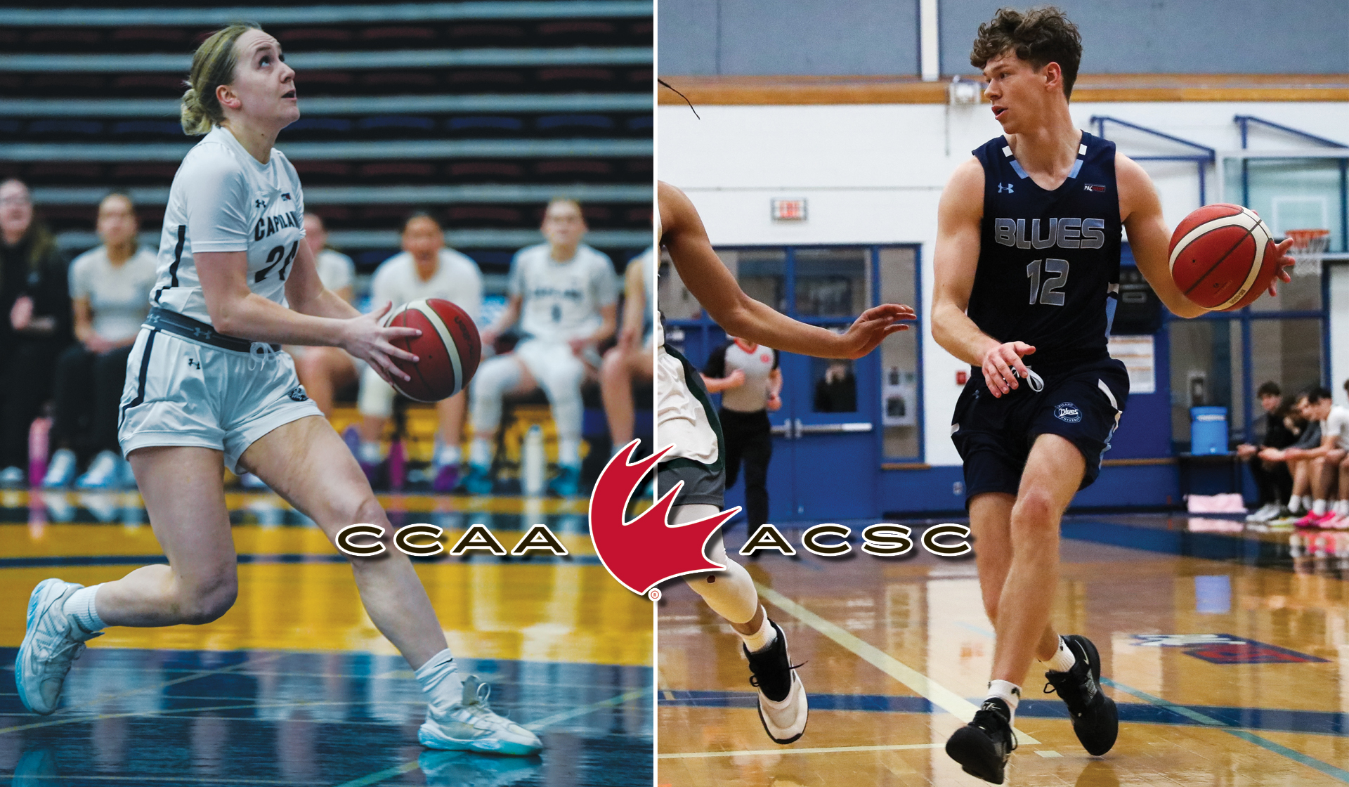 Maddy Coffin and Kash Lang earned CCAA All-Canadian status for their respective outstanding seasons on the hardwood in 2025-26. 