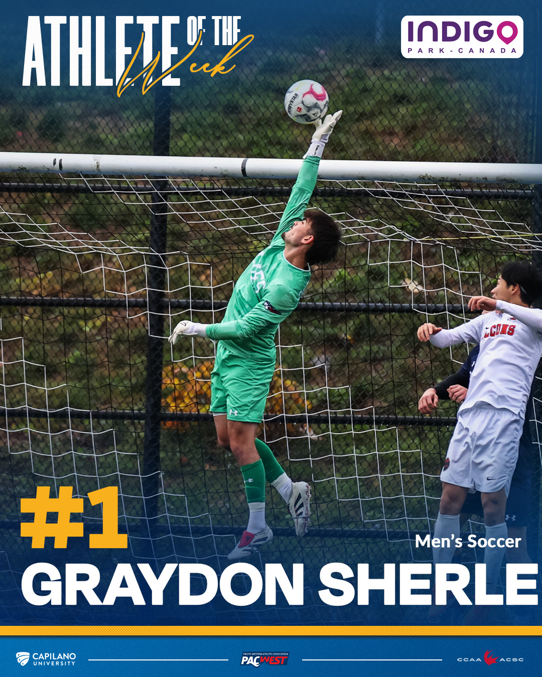 Graydon Sherle