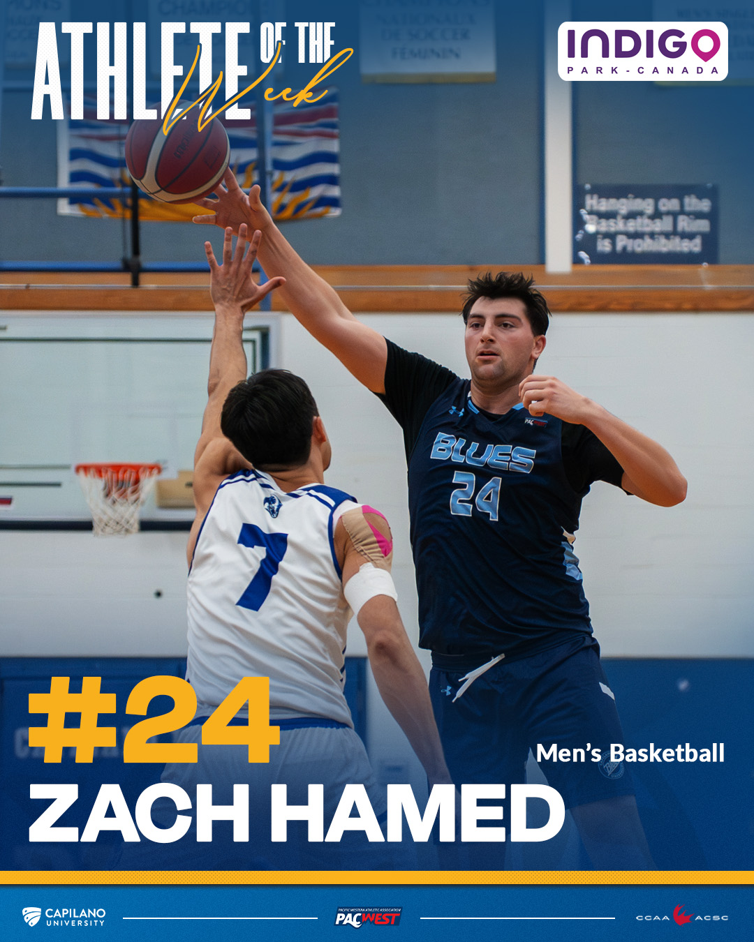 Zach Hamed