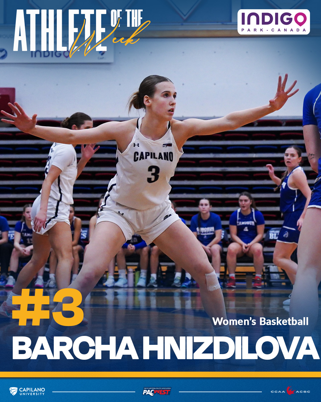 Barcha Hnizdilova