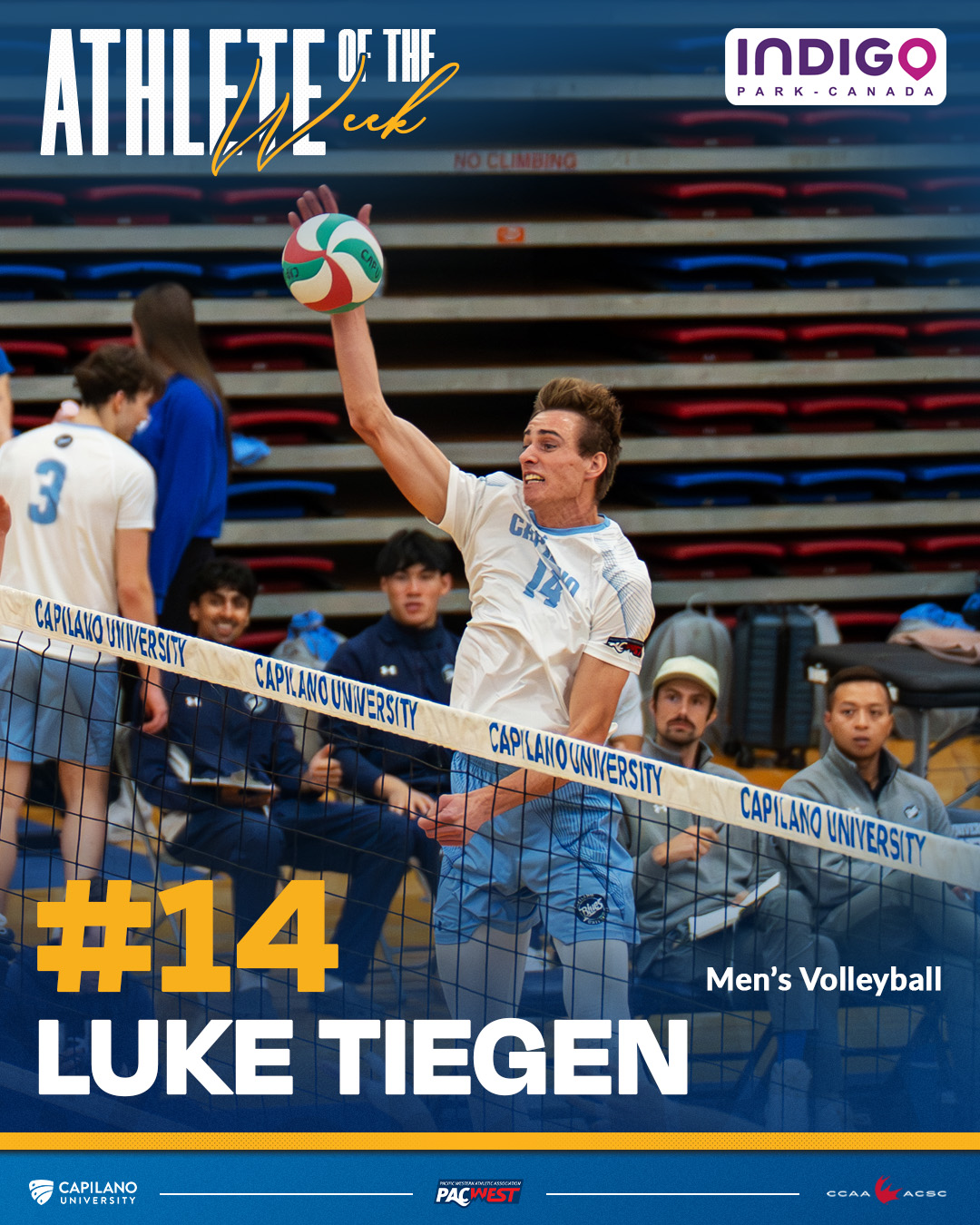 Luke Tiegen