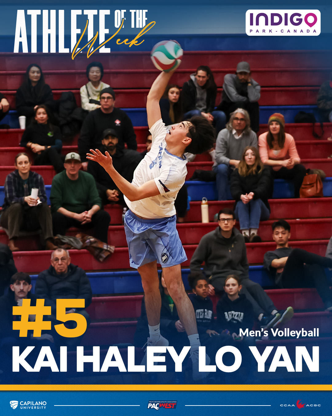 Kai Haley Lo Yan