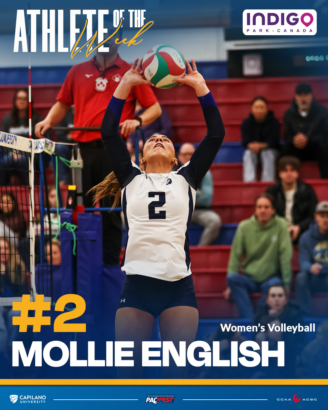 Mollie English