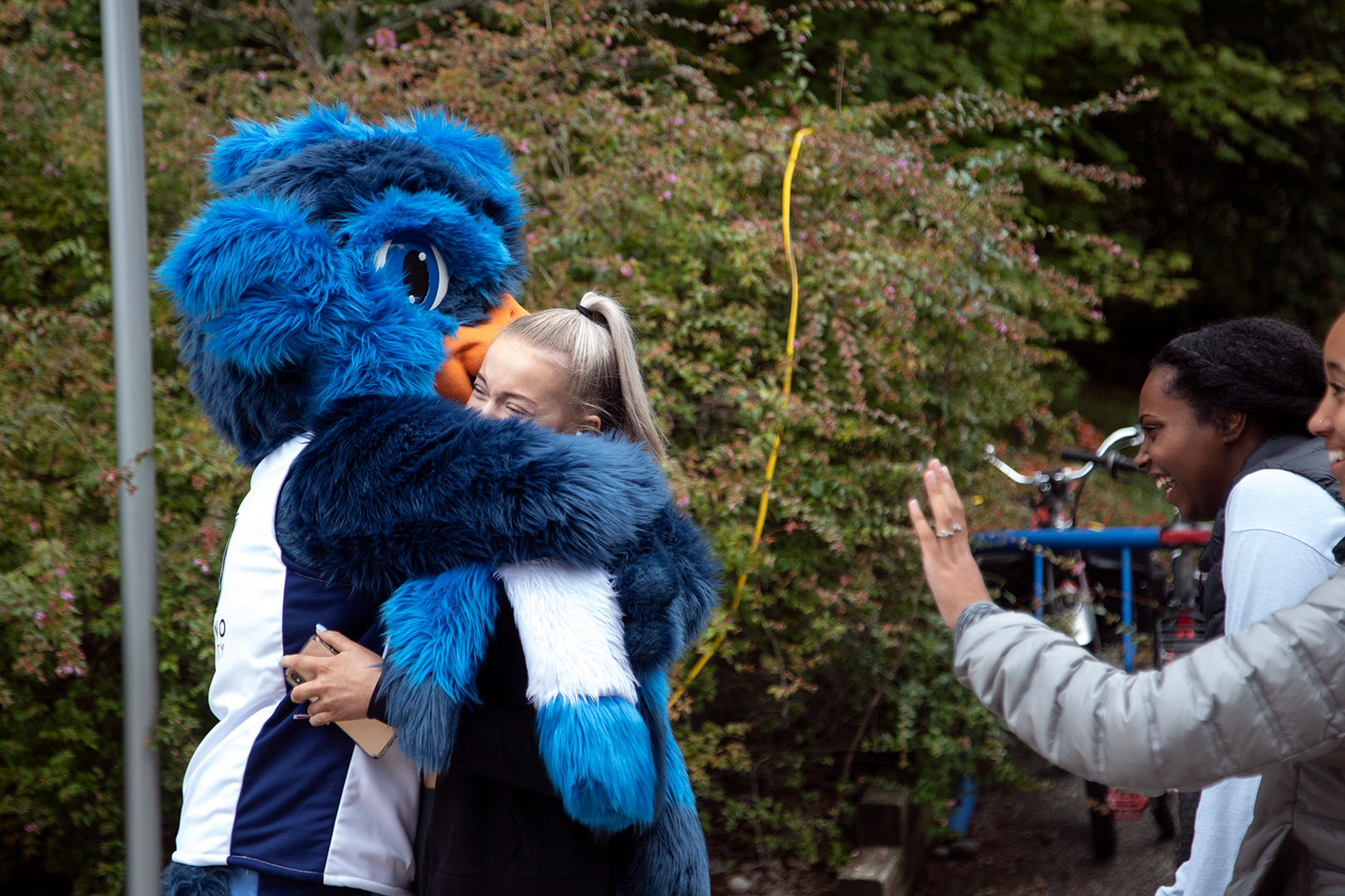 Blues Mascot Jay