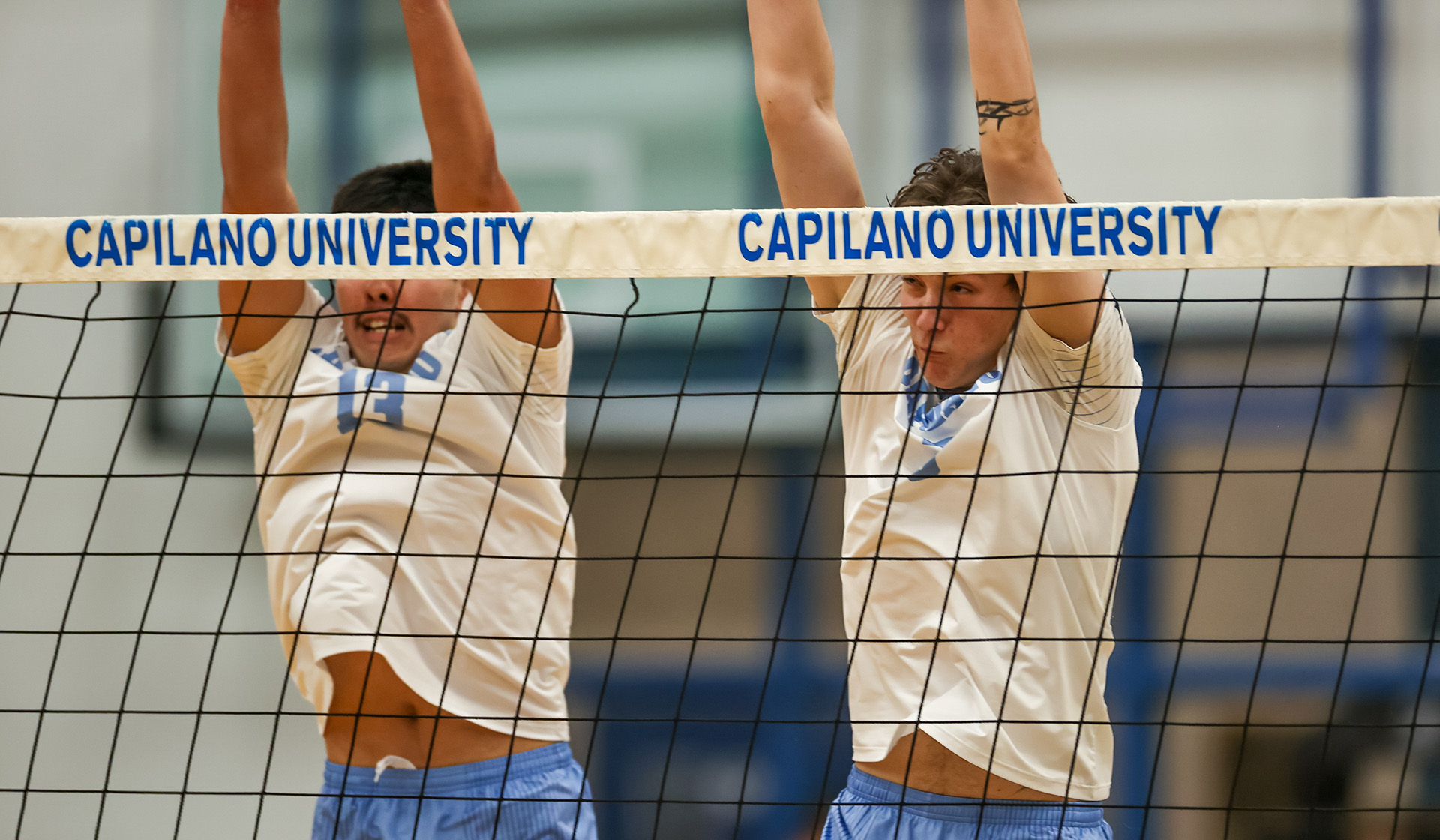 Capilano Elite Volleyball League