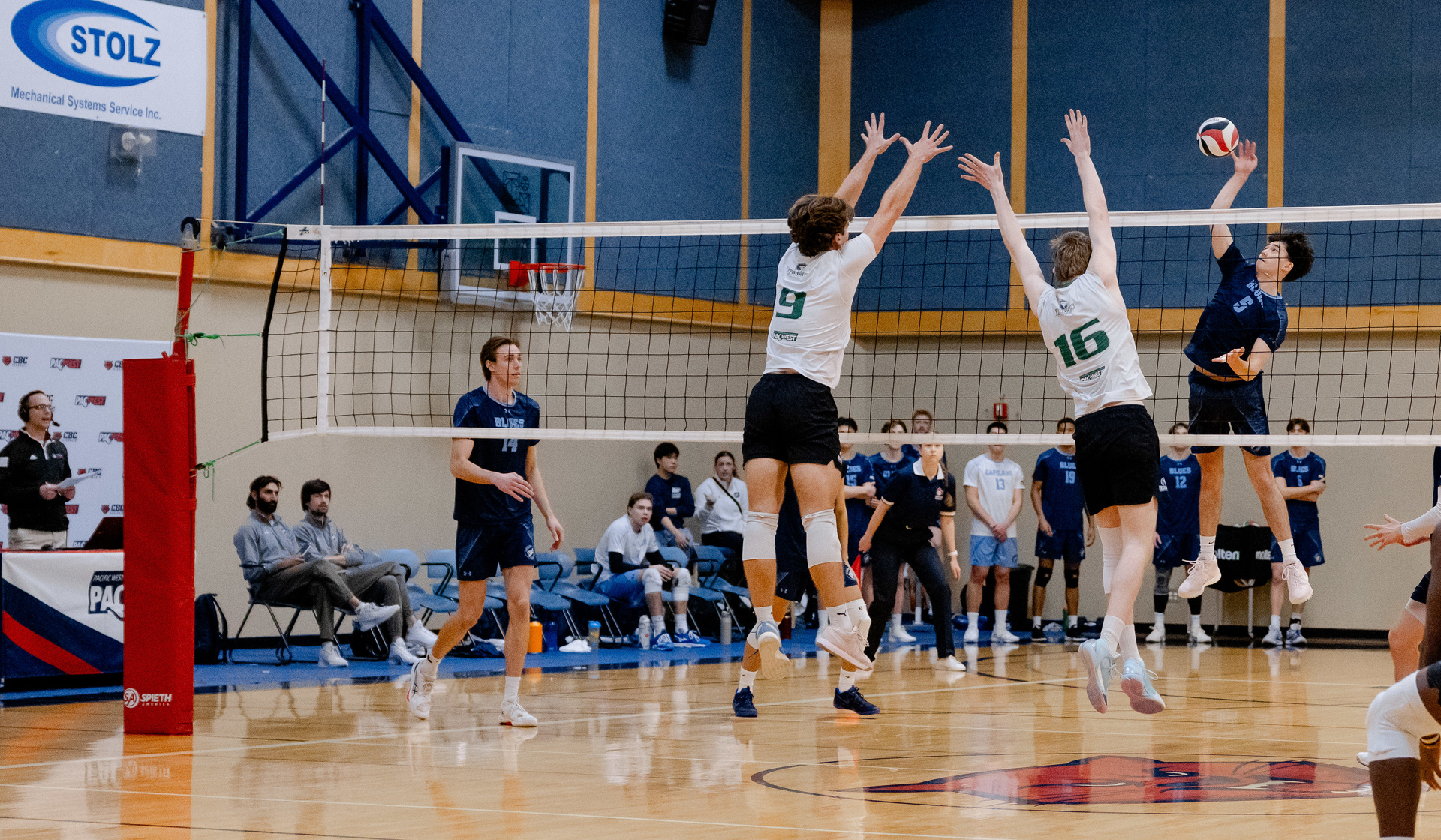 Playing for bronze Feb. 28, the Capilano Blues couldn't secure a podium finish at the PACWEST tournament. (Jonathan Golschmidt photo)