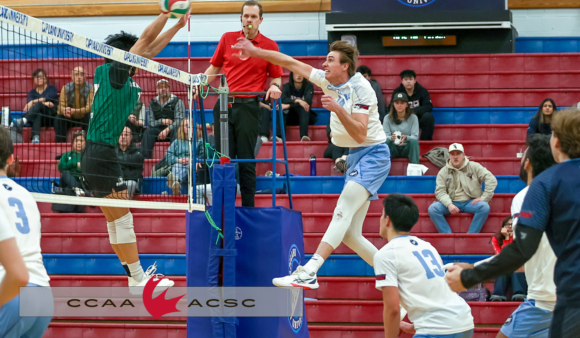 Blues outside hitter Luke Tiegen earned CCAA All-Canadian status after his debut season with Capilano. 