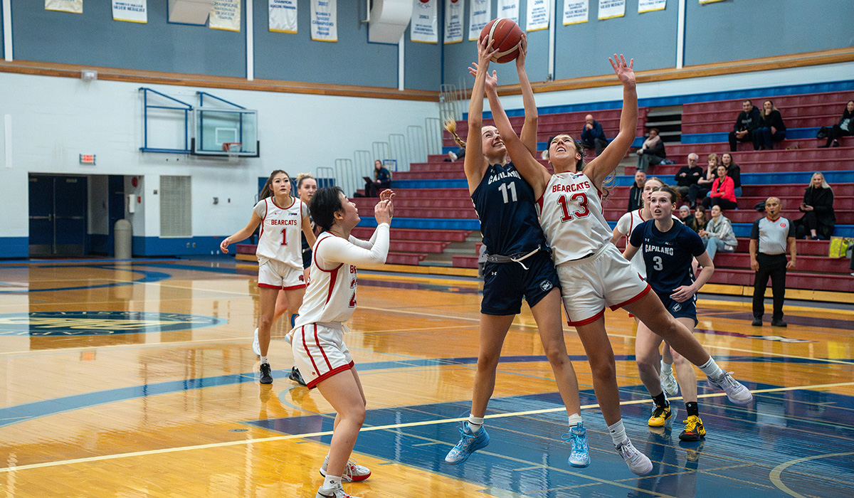 Mina Djordjevic Rebounds