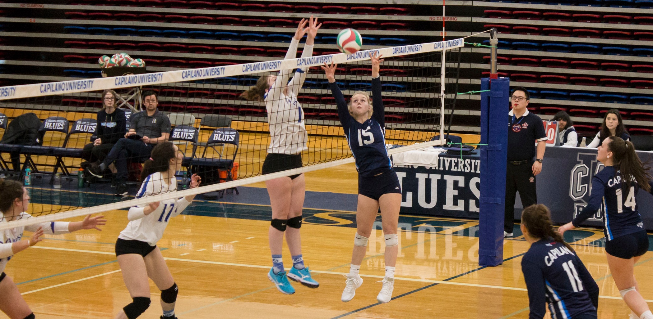 Blues suffer loss on home court