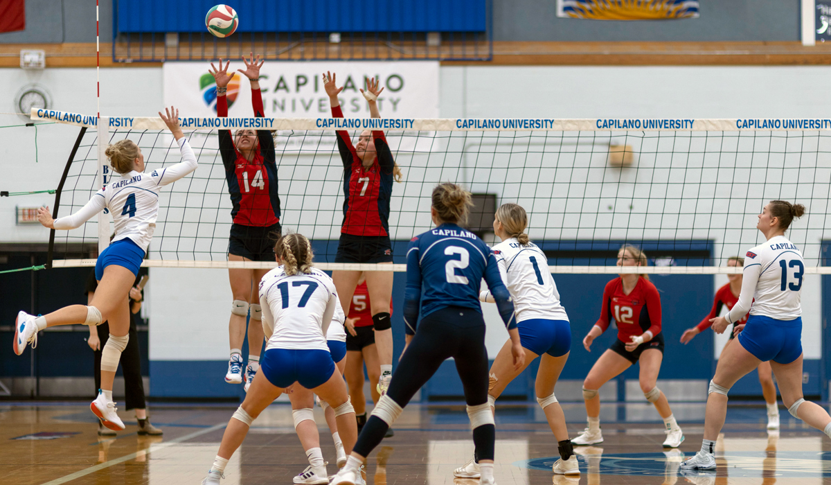 Capilano's Courtney Muller makes a play at the net with two CBC Bearcats putting up a tandem block.