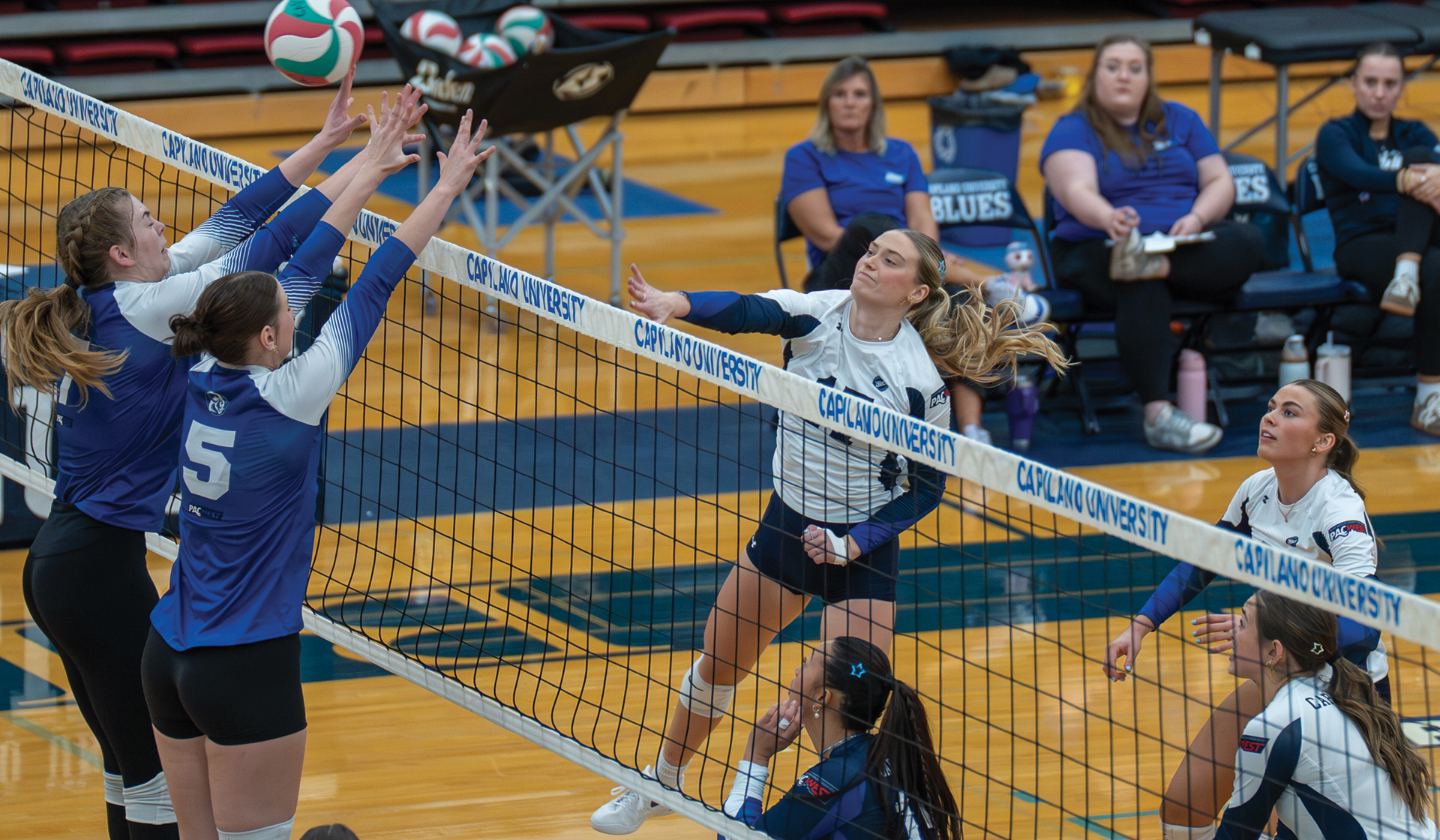 Annika Kuznik was one of three Blues in double digits in kills Nov. 7 in a 3-1 win over visiting Camosun College in the Blues home opener. (Chris Raeside photo)